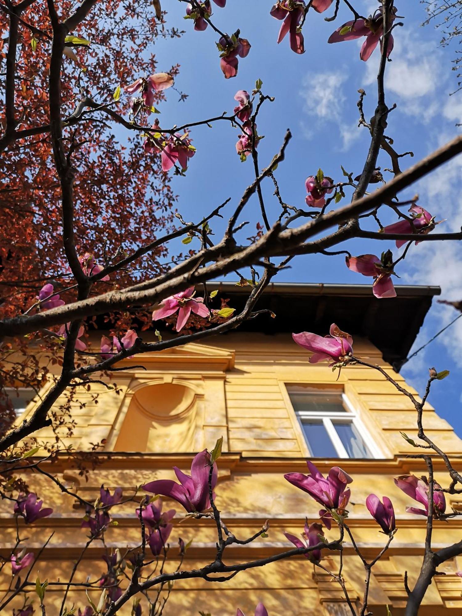 The Villa, Ljubljana City Center Liubliana Exterior foto